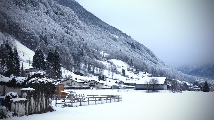 snow_luchsingen_small.jpg